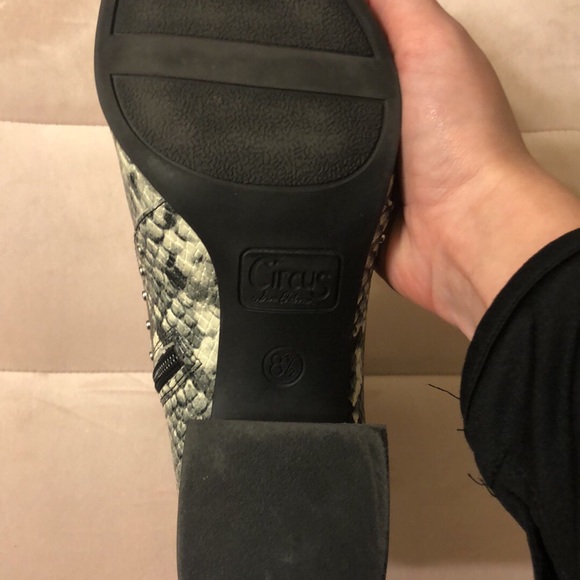 Circus by Sam Edelman snake skin booties - Picture 5 of 5